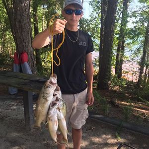 Meet your Posher, Nolan